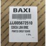5672510  Электронная плата LUNA (5654950,5655990) Baxi