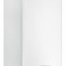 Котел настенный двухконтурный Ariston CLAS XC 24 FF NG турбо