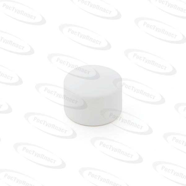 Заглушка PPR d20 RTP  