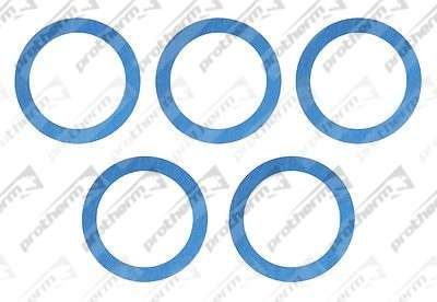 0020035069 Прокладка 62*48*2 Power Gask20 для KLO (65-150)