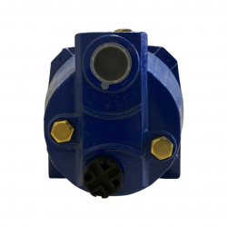 Насос поверхностный OASIS PR60/45 CA