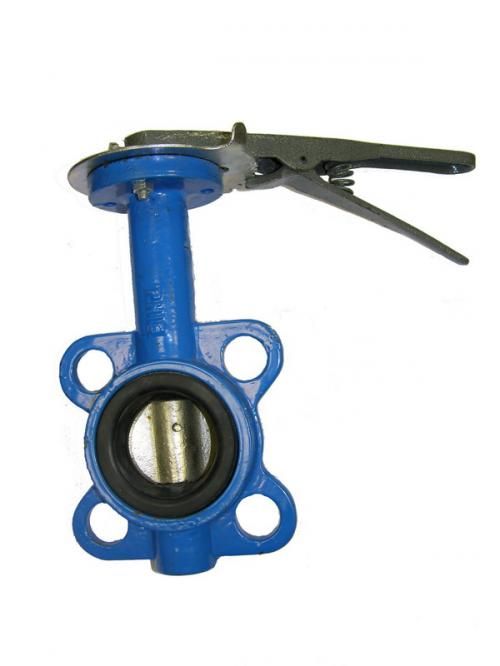 Затвор дисковый Ду50